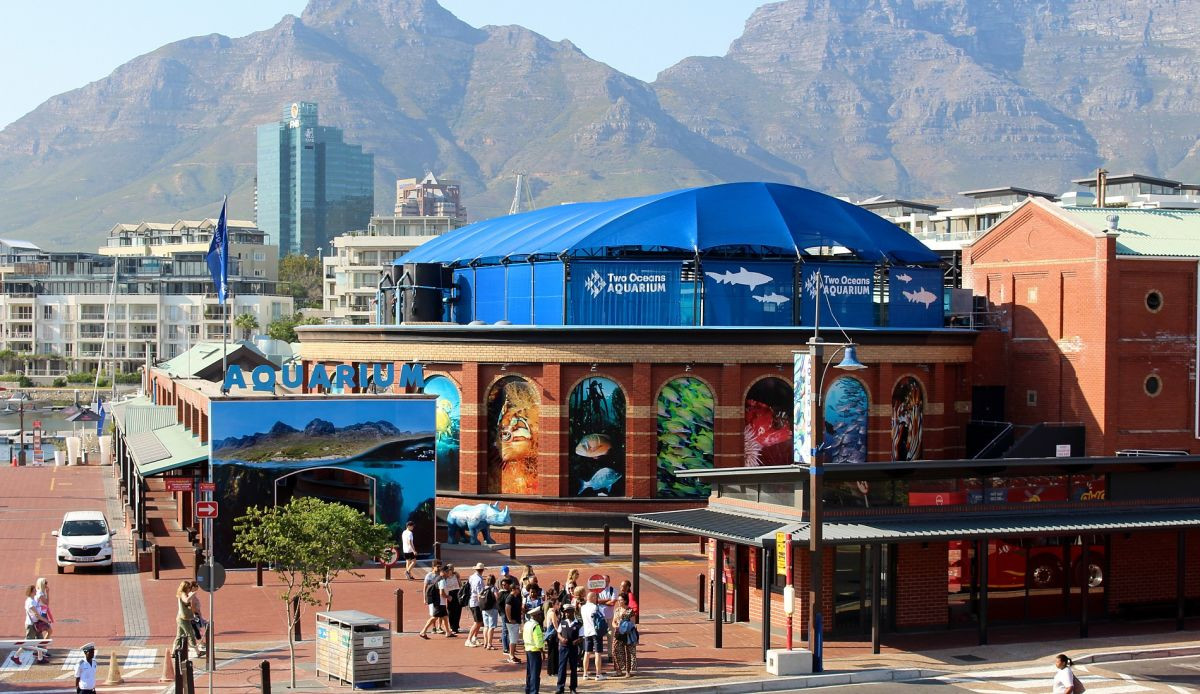 Deluxe Hop-on-Hop Cape Town 3days(Family package)