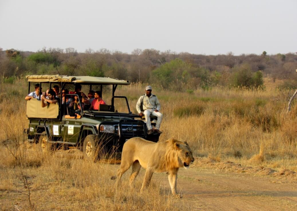 Mongena Private Game reserve ,Safari Escape