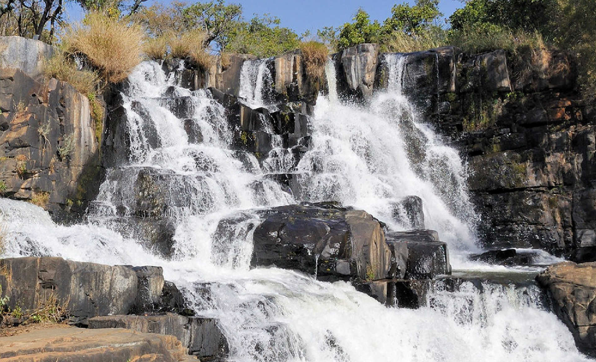 Nyanga
