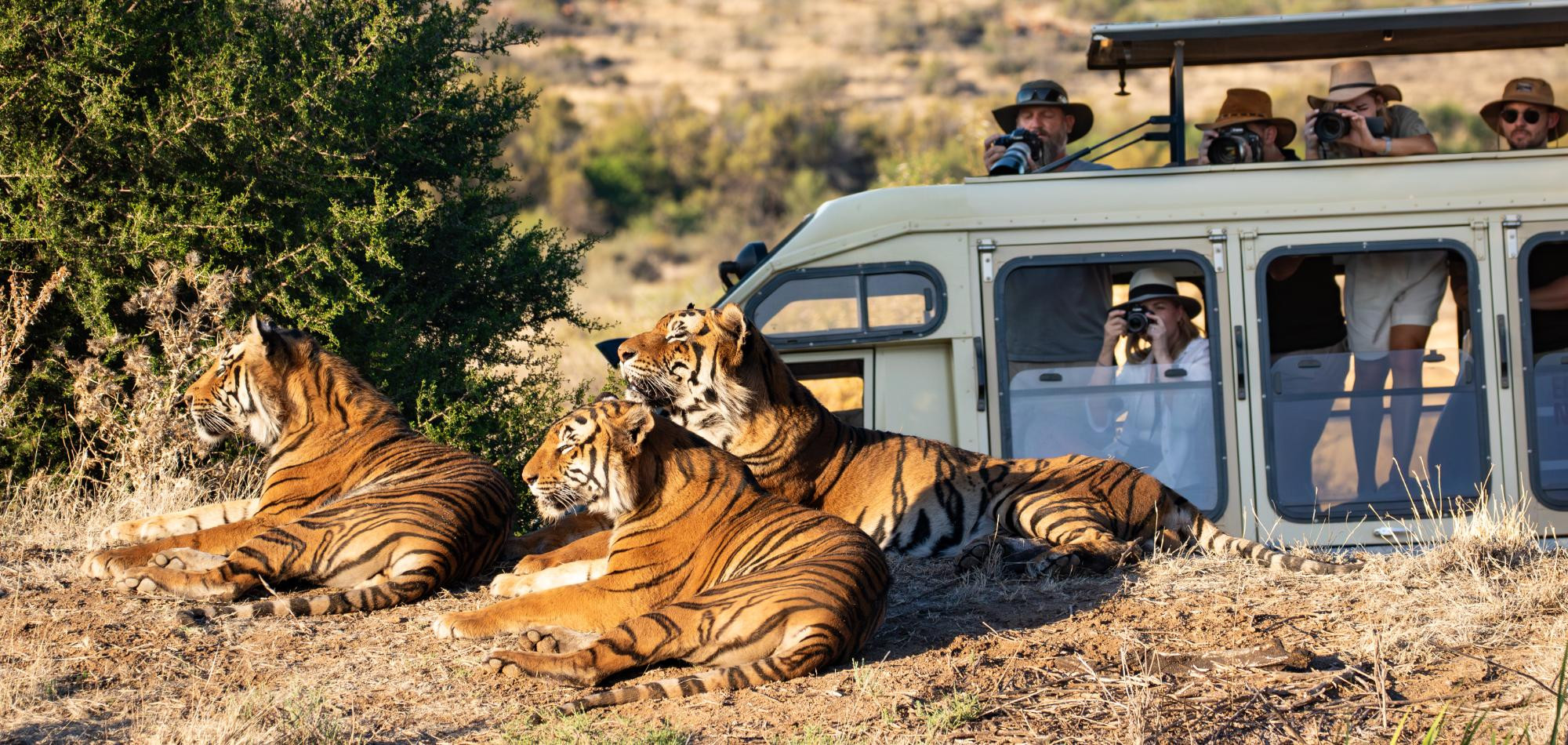 Tiger Canyon Private Game Reserve