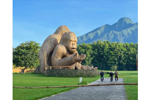 4 Days Rwanda Gorilla Trekking Safari