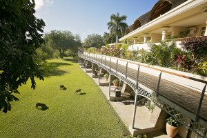 4* Superior Ilala Lodge Hotel - Victoria Falls Package (3 Nights)