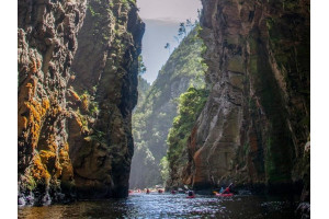 Garden Route Splendour 6 Days