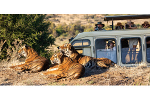 Tiger Canyon Private Game Reserve